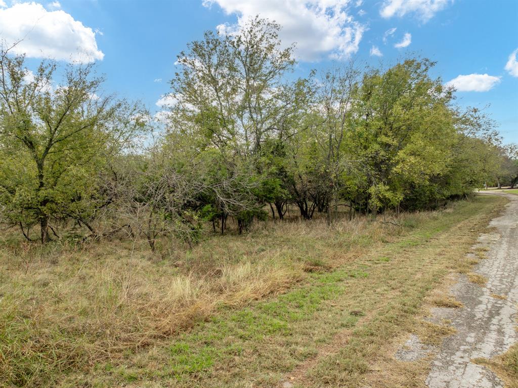 39081 Springwillow Court Property Photo 4