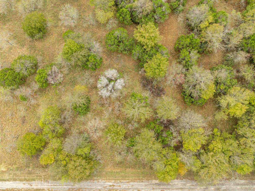 39081 Springwillow Court Property Photo 5