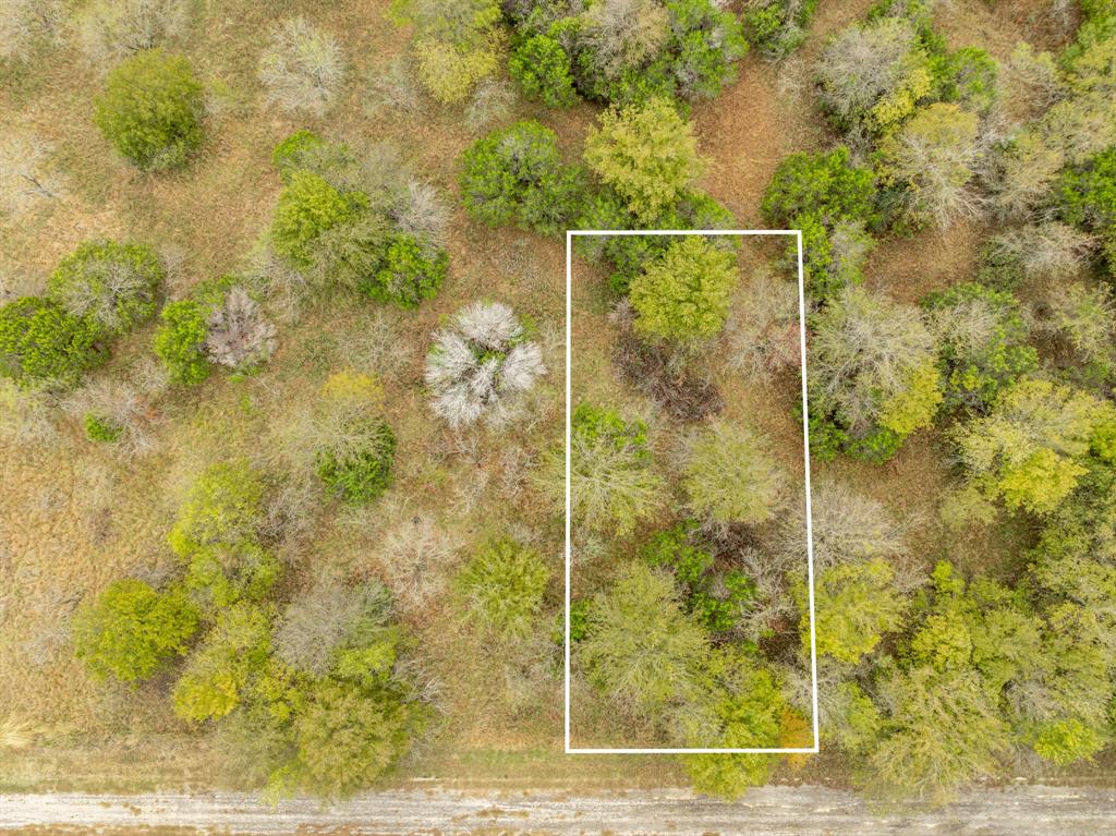39081 Springwillow Court Property Photo 6