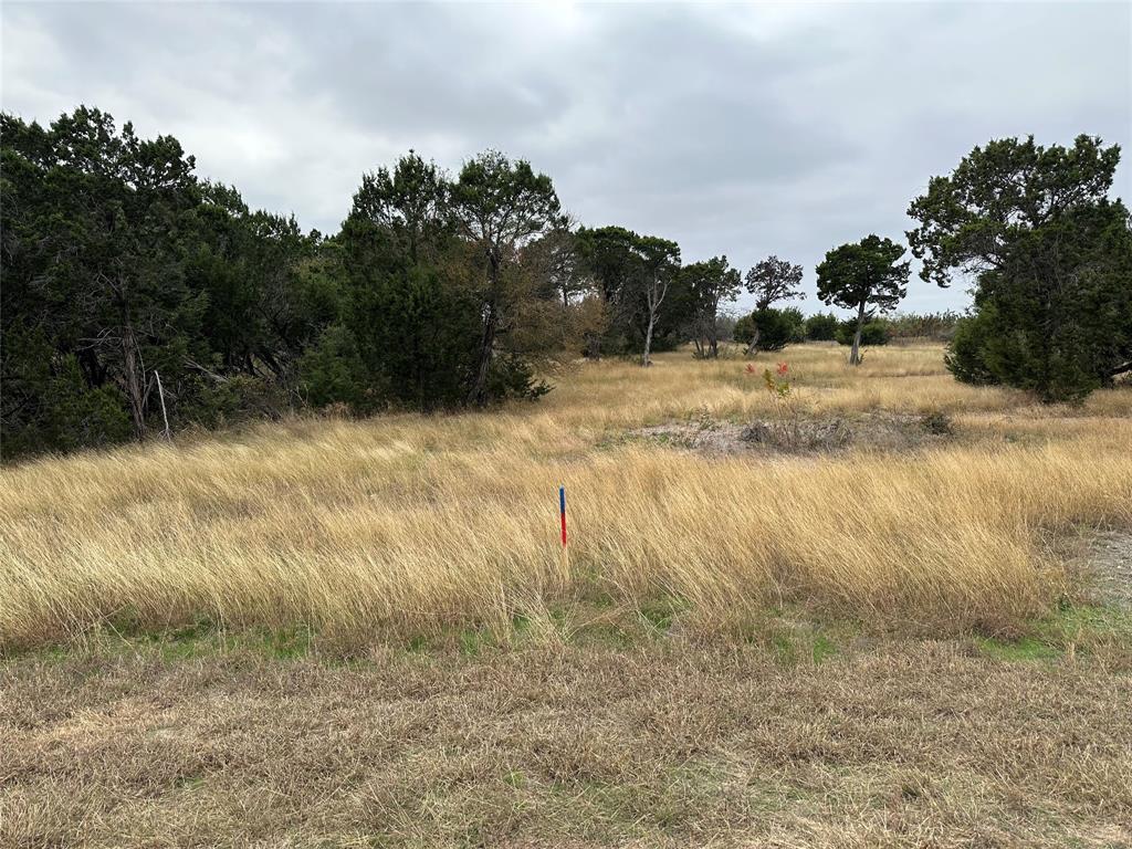 8024 Leven Link Street Property Photo 1