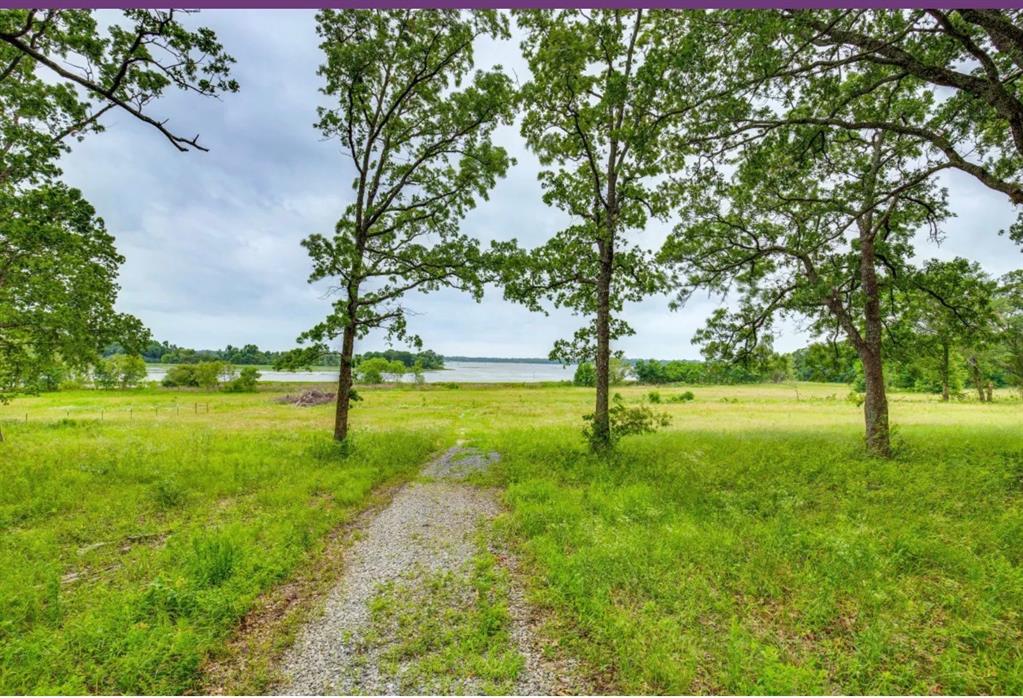 579 County Road 1843 Property Photo 8