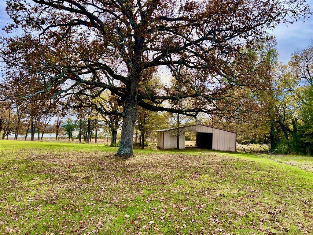 579 County Road 1843 Property Photo 23