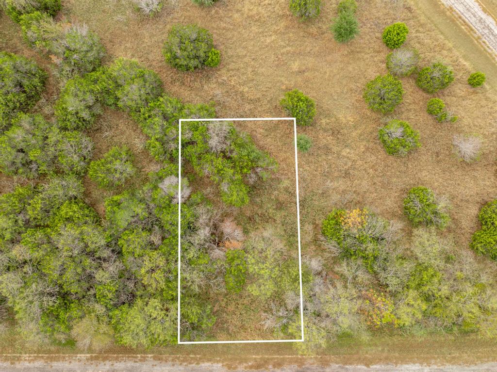 39155 Rock Ridge Drive Property Photo 8
