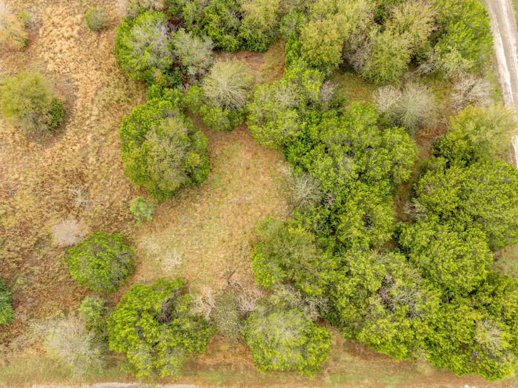 40050 Elmwood Drive Property Photo 6