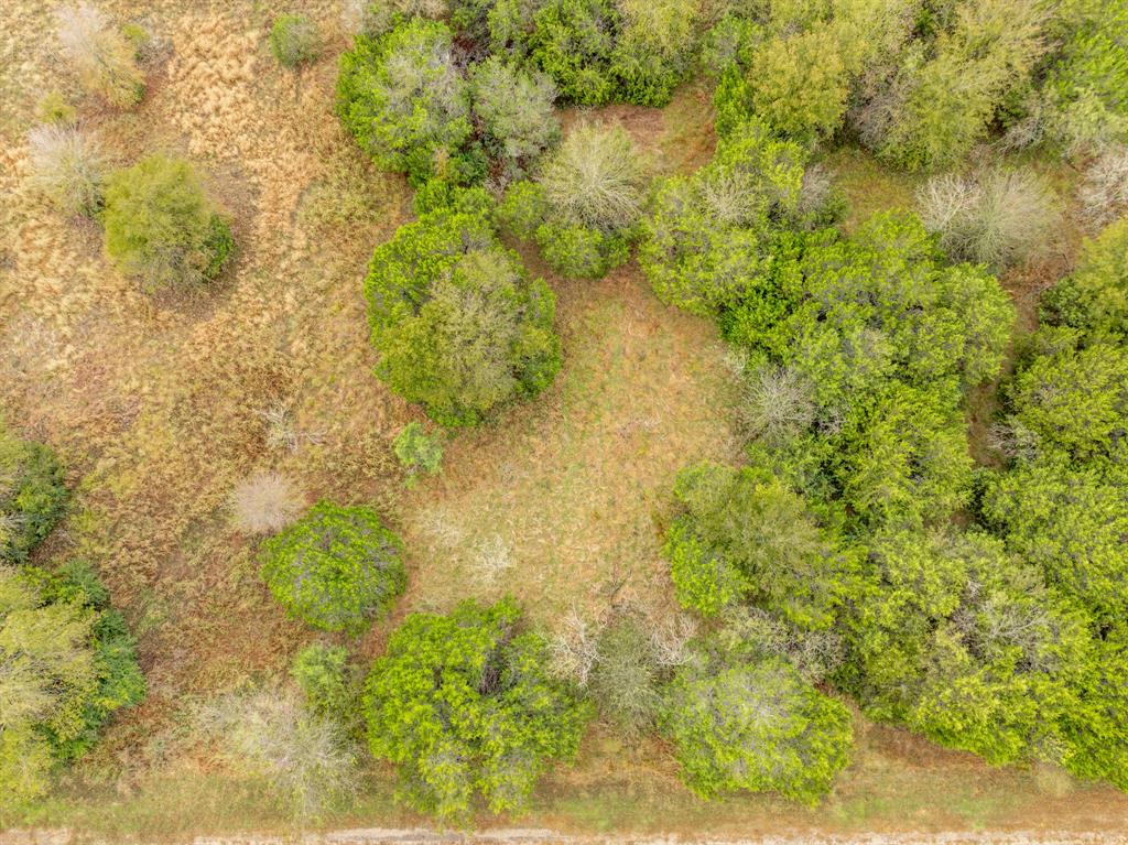 40050 Elmwood Drive Property Photo 7
