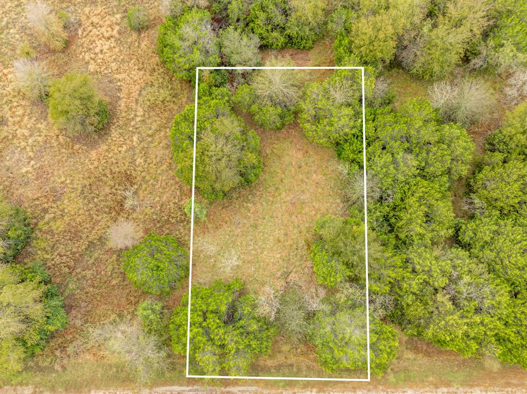 40050 Elmwood Drive Property Photo 8
