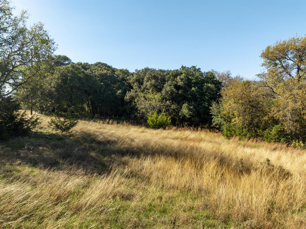 42017 Preston Trail Property Photo 5