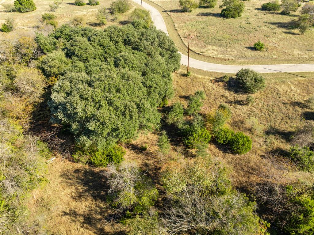 42019 Preston Trail Property Photo 3