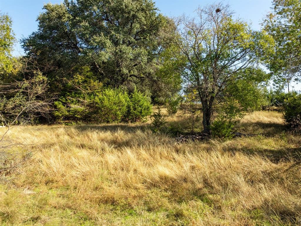 42019 Preston Trail Property Photo 4