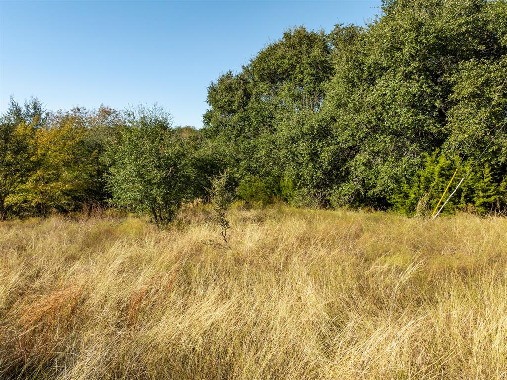 42019 Preston Trail Property Photo 5