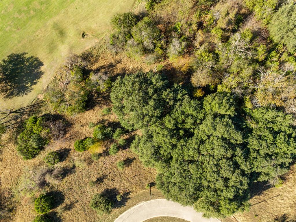 42019 Preston Trail Property Photo 6