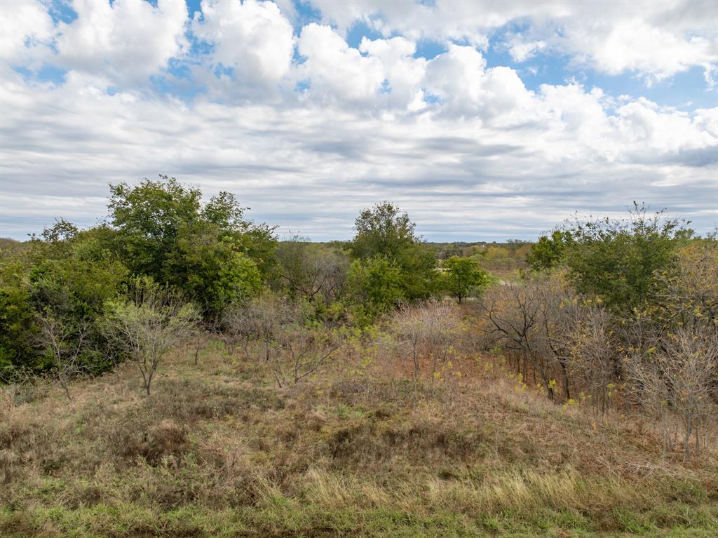 39208 Cross Timber Drive Property Photo 1