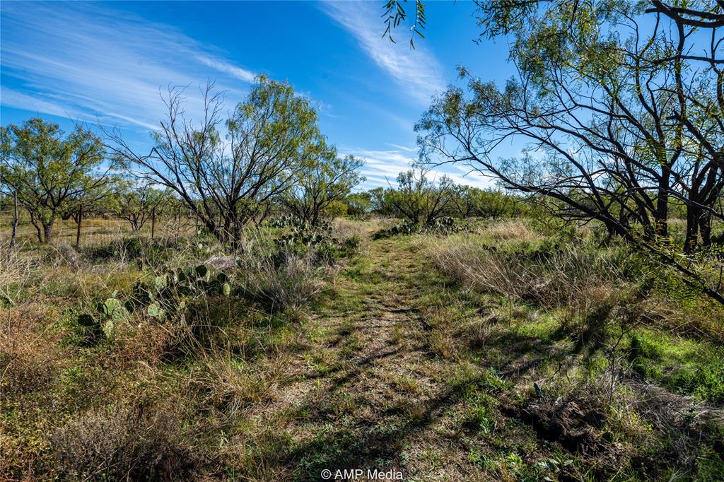 151 County Road 412 Property Photo 4