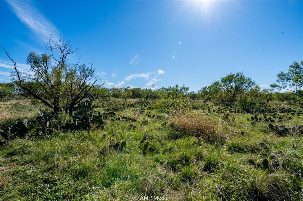 151 County Road 412 Property Photo 5