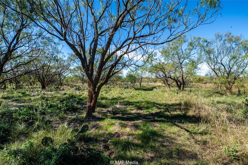 151 County Road 412 Property Photo 8