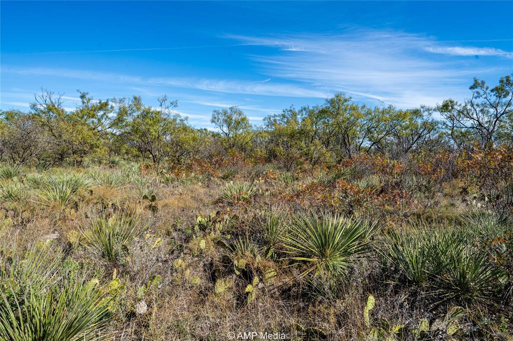 151 County Road 412 Property Photo 12