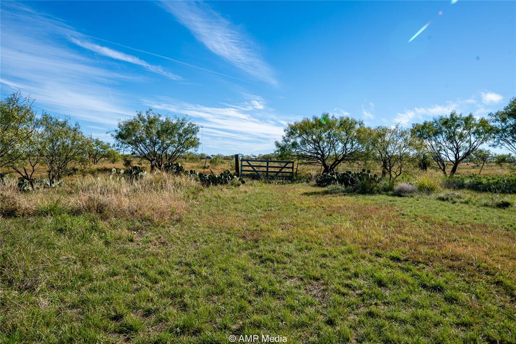151 County Road 412 Property Photo 13