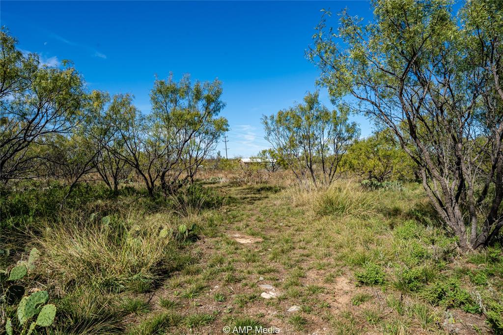 151 County Road 412 Property Photo 15