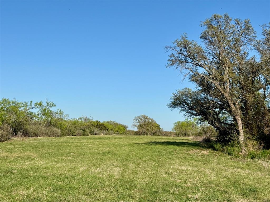 2714 County Road 147 Property Photo 5