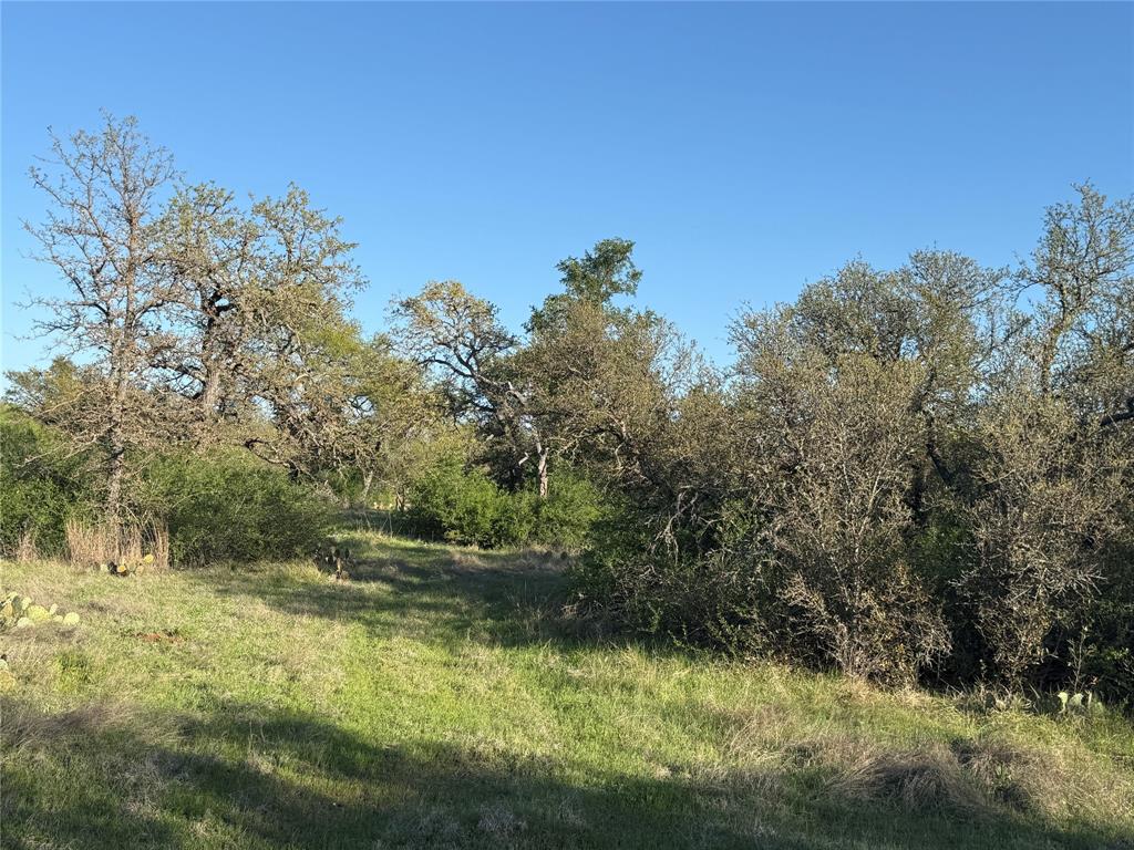 2714 County Road 147 Property Photo 9