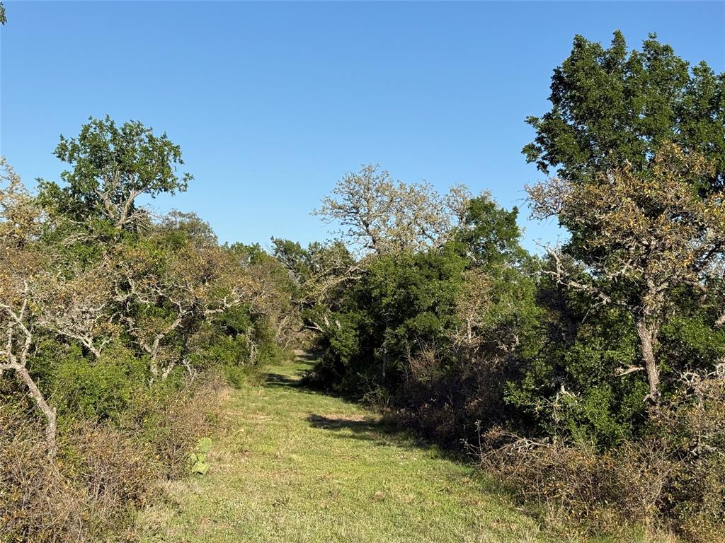 2714 County Road 147 Property Photo 10