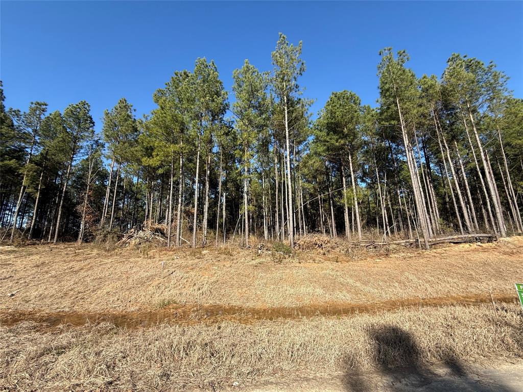 000 Grace Lane Lot 9 Property Photo 1