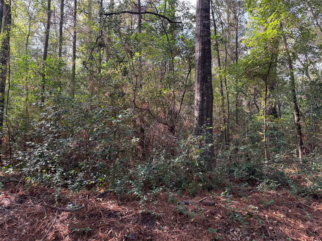 0 Lakeshore Property Photo 1