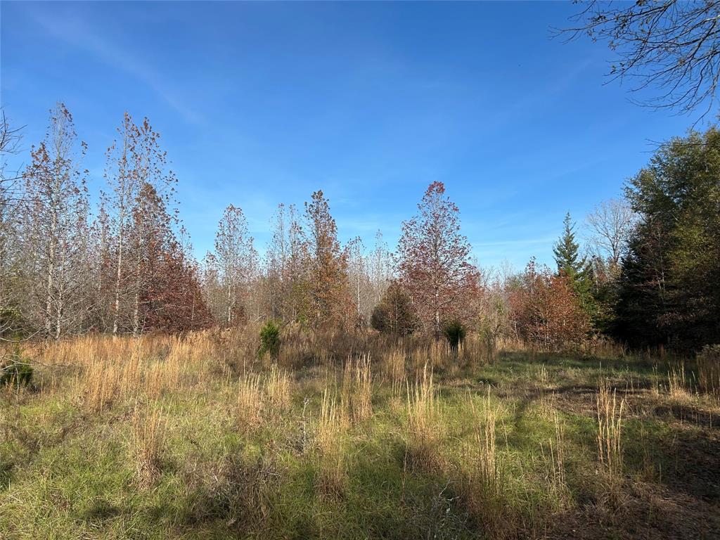 Tbd County Road 1412 Property Photo 2