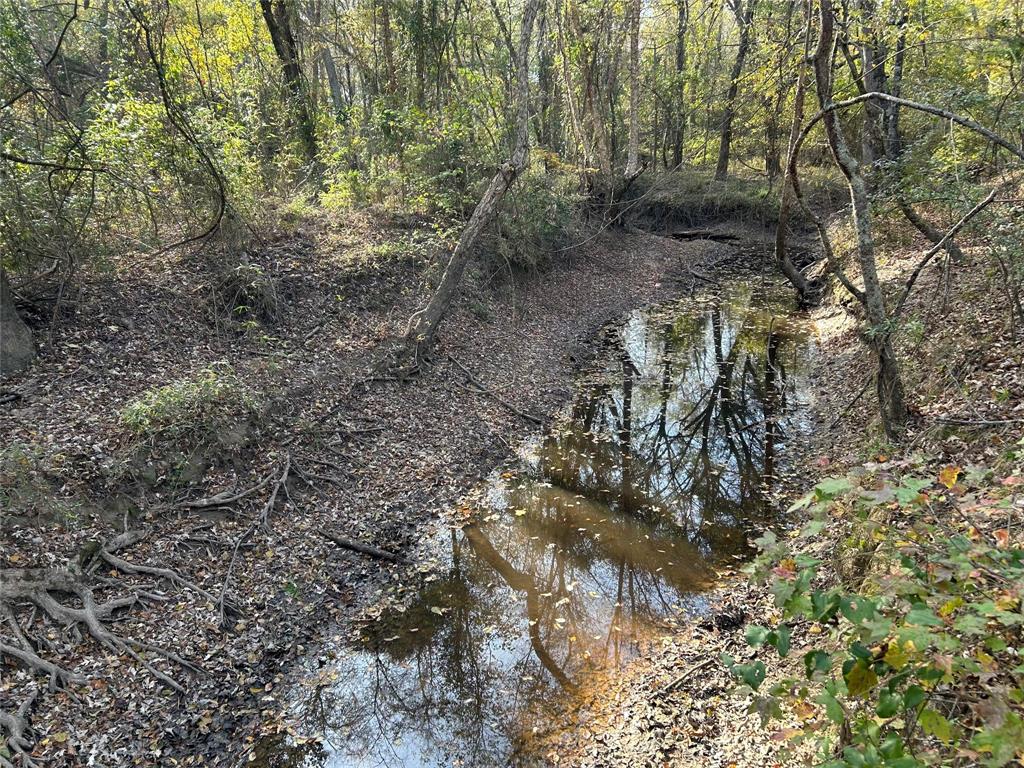 Tbd County Road 1412 Property Photo 3