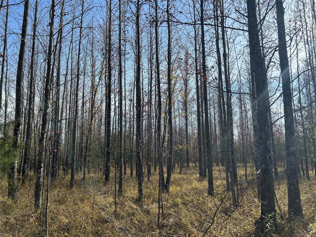 Tbd County Road 1412 Property Photo 8