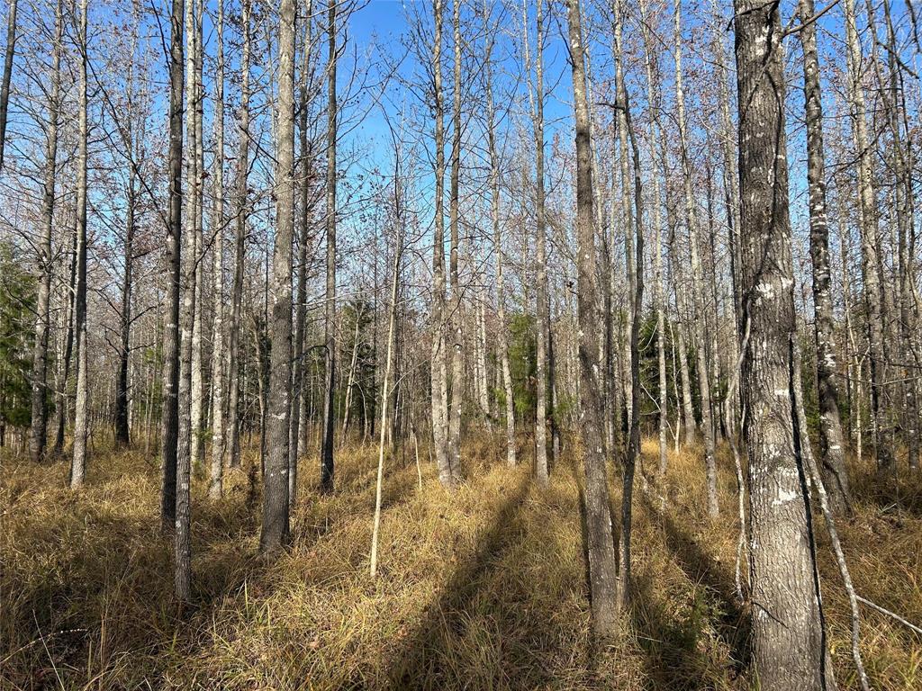 Tbd County Road 1412 Property Photo 9
