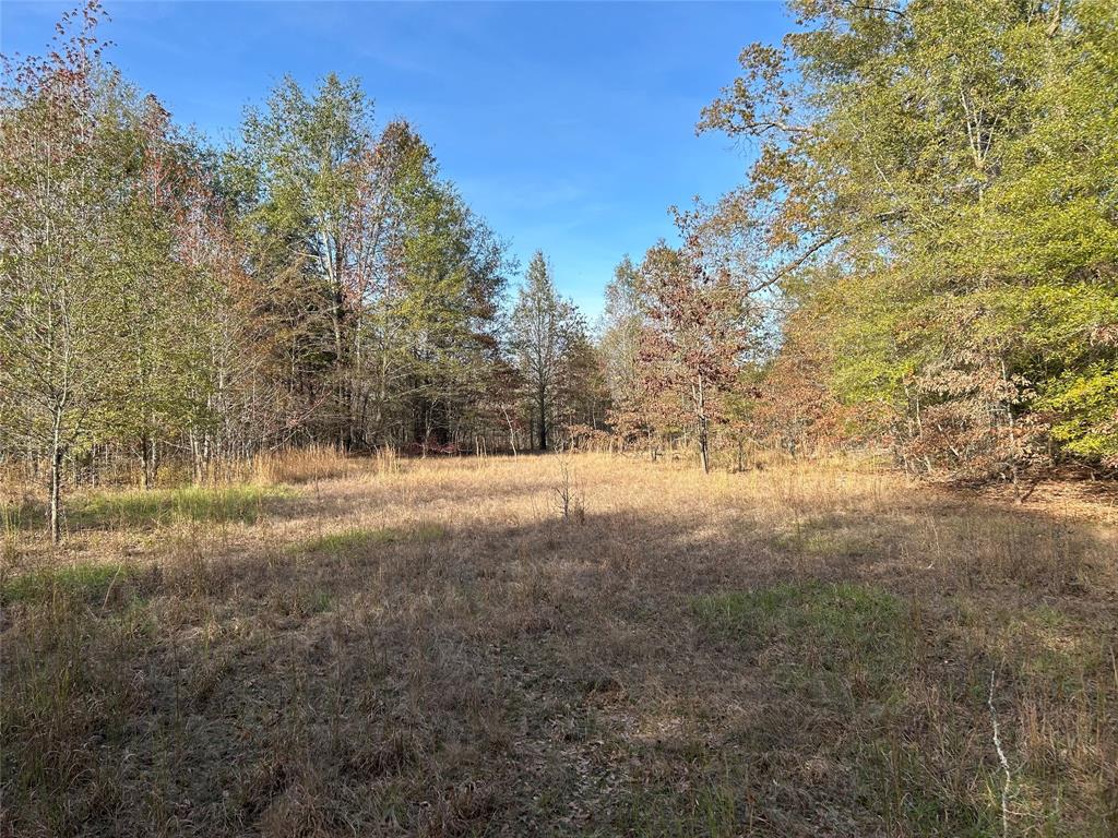Tbd County Road 1412 Property Photo 10