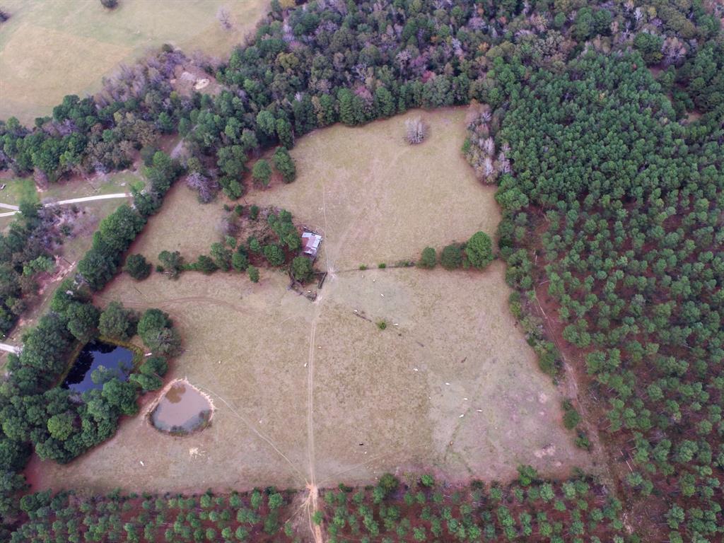 Tbd Fm-1990 Property Photo 8