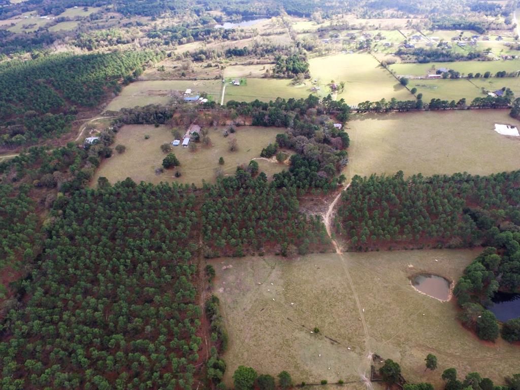 Tbd Fm-1990 Property Photo 9