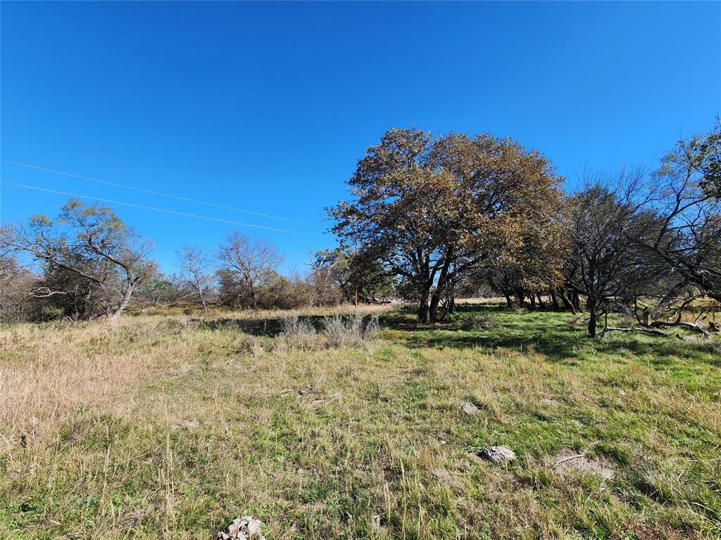 18830 Tx-6 Property Photo 5