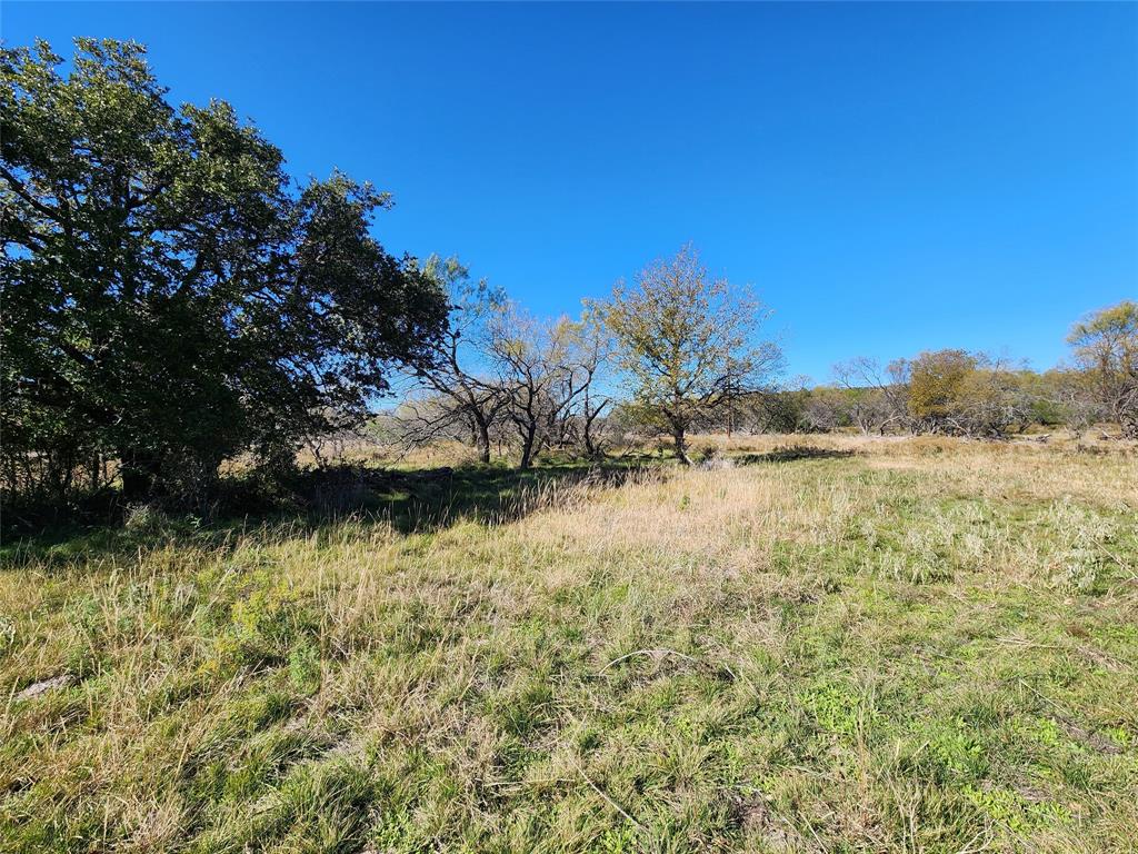 18830 Tx-6 Property Photo 6