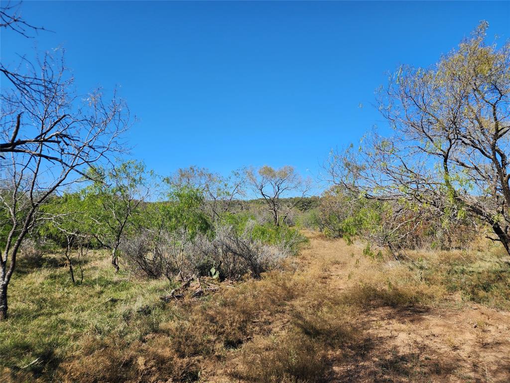 18830 Tx-6 Property Photo 9