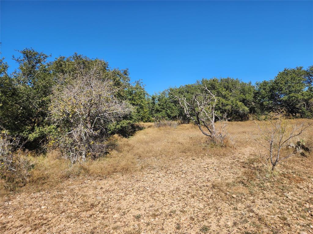 18830 Tx-6 Property Photo 15