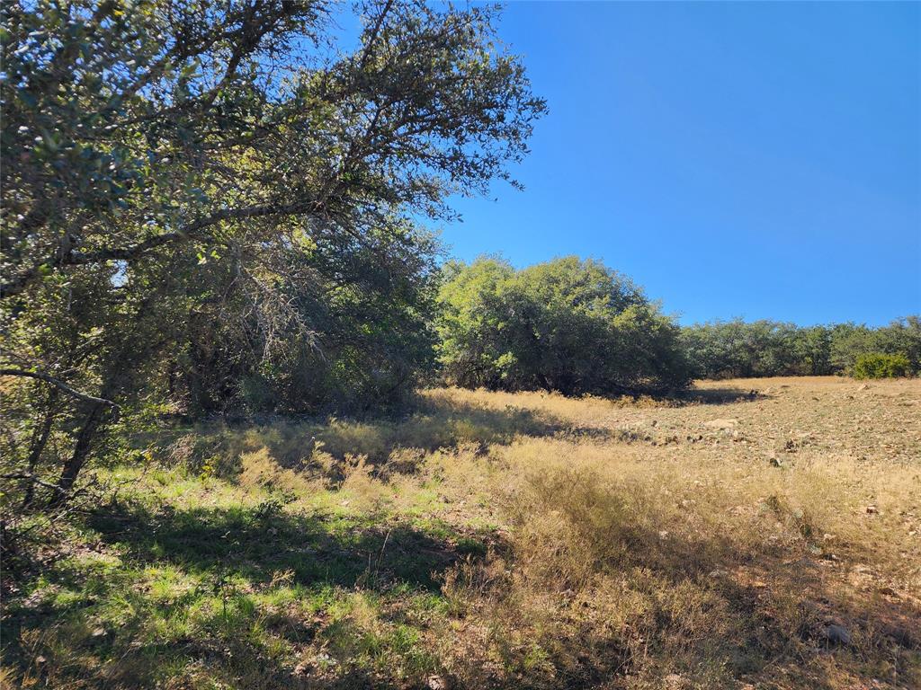 18830 Tx-6 Property Photo 17
