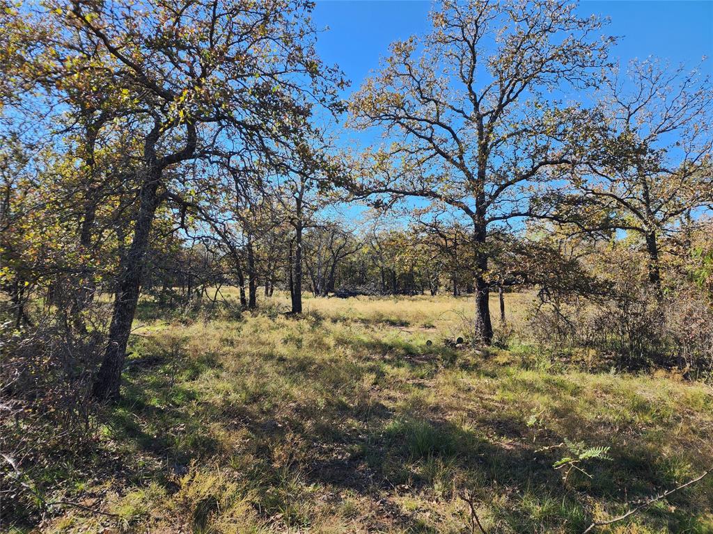 18830 Tx-6 Property Photo 23