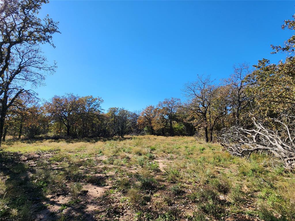 18830 Tx-6 Property Photo 26
