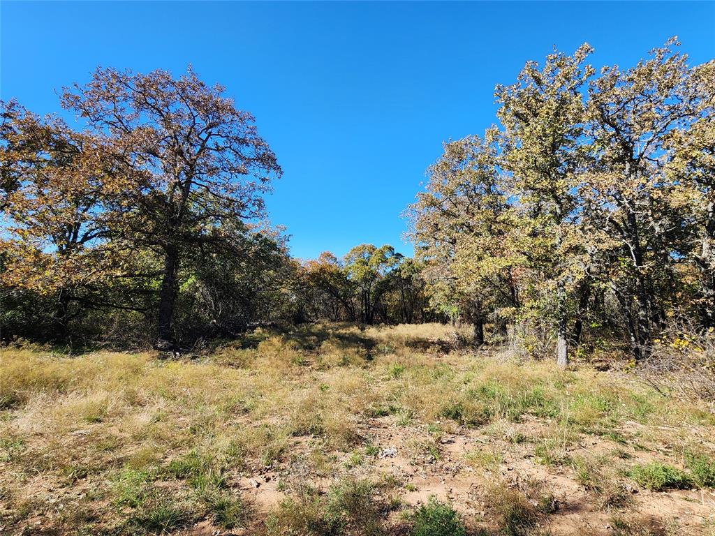 18830 Tx-6 Property Photo 27
