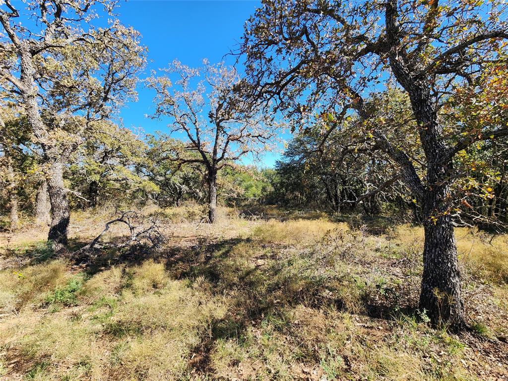 18830 Tx-6 Property Photo 29