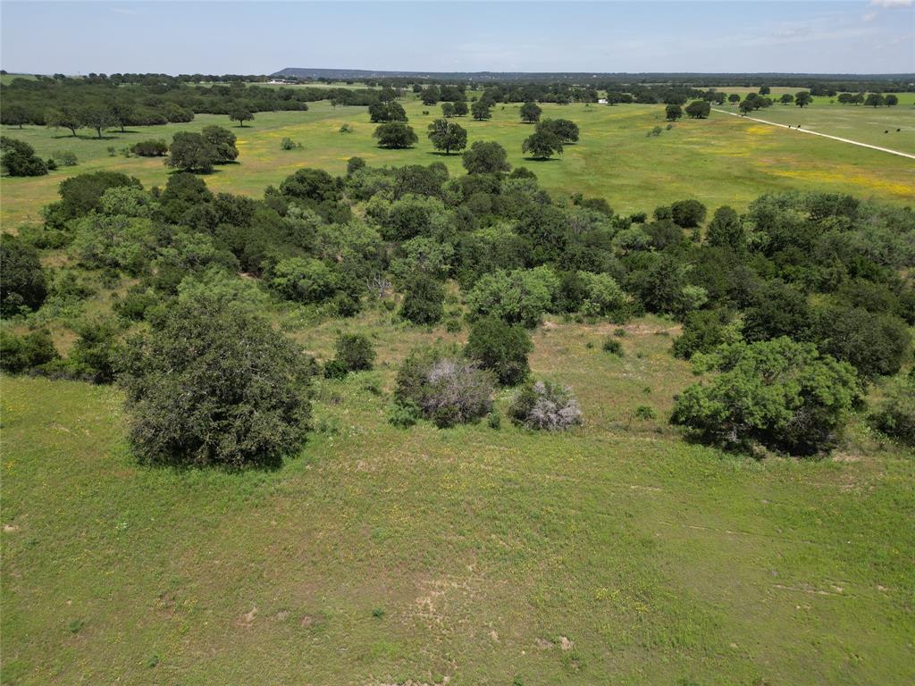 10015 County Road 477 Property Photo 2