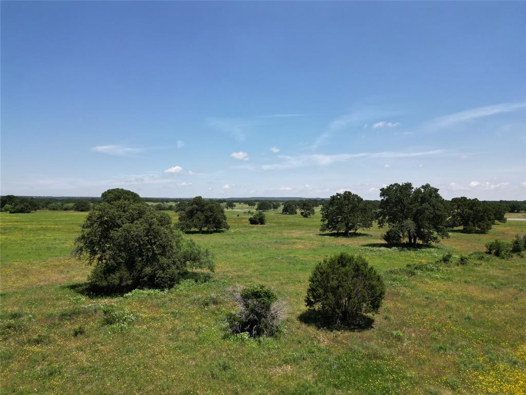 10015 County Road 477 Property Photo 6