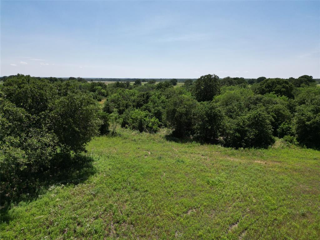 10015 County Road 477 Property Photo 7