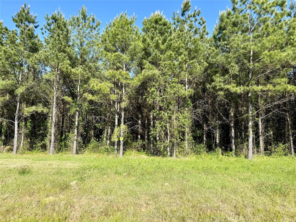 202 Chapel Creek Drive Property Photo