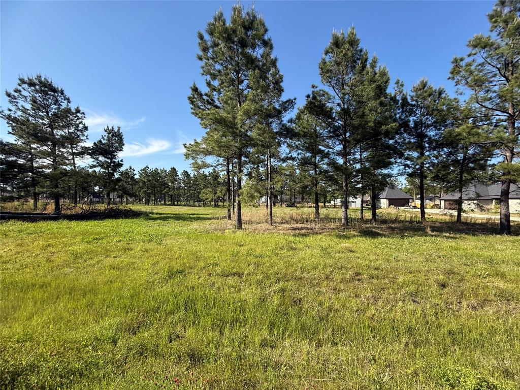 116 Faith Plantation Drive 41 Property Photo 1