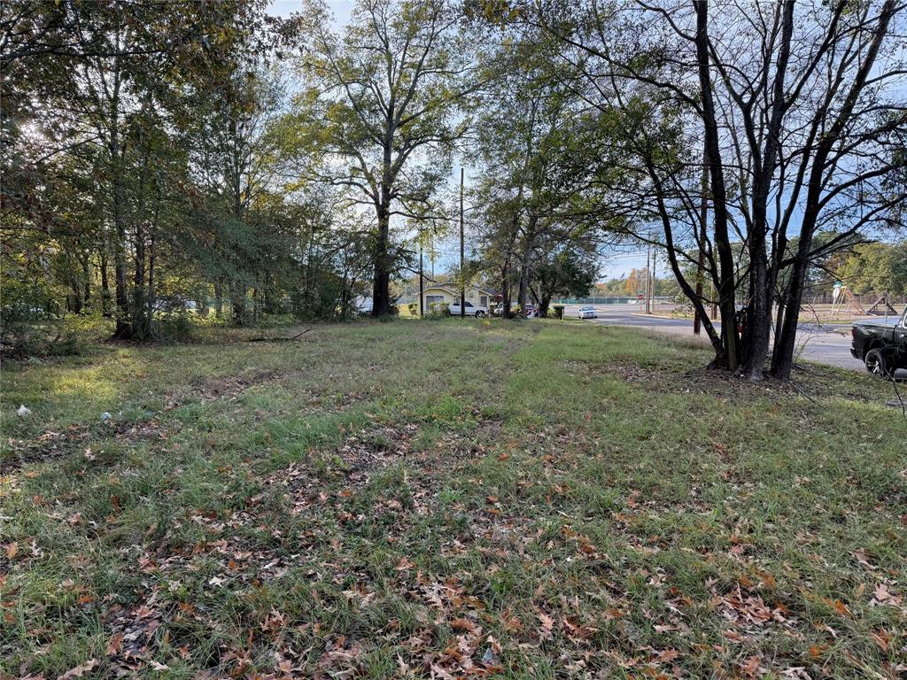 410 W Nelson Street Property Photo 1