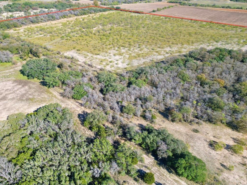 17900 S Tx-16 Property Photo 6